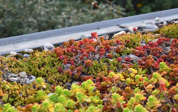 the cost of Talerddig green roof installation