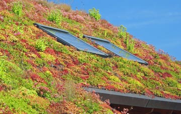 Talerddig living roof systems